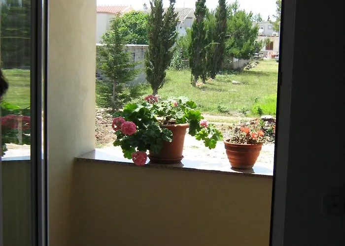 Apartment Ana