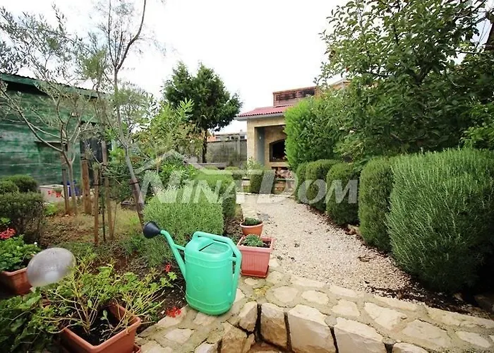 Apartment Ana Vir